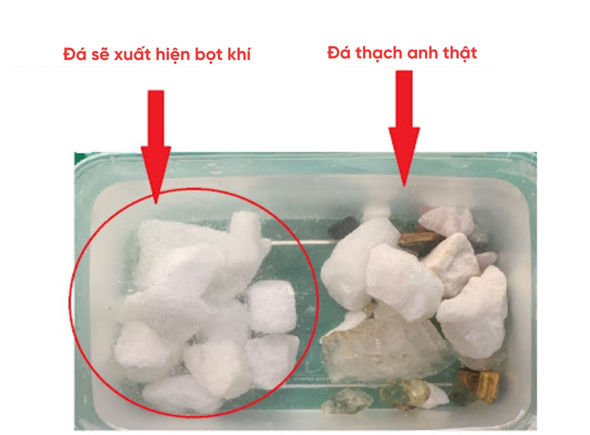 Ngoài cách phân biệt bằng mắt thường, gia chủ có thể cầm để cảm nhận độ mát của đá thạch anh thật 