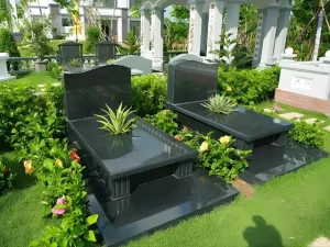 trồng cây gì trên lỗ thông thiên